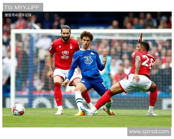 澳大利亚退役足球明星的辉煌历程与对足球事业的深远影响